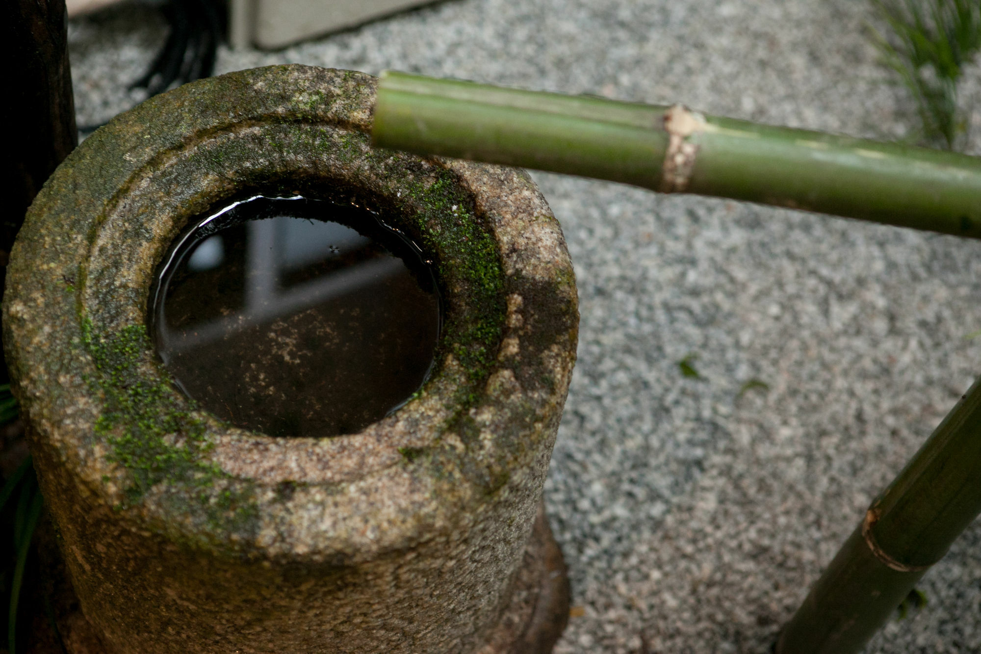 Rinn Kujokamogawa Kyoto Ngoại thất bức ảnh